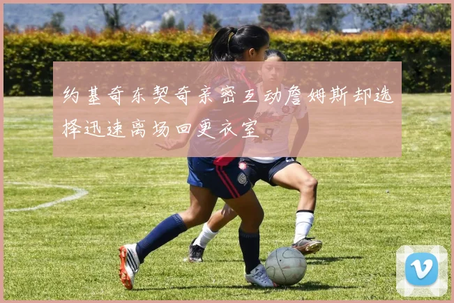 约基奇东契奇亲密互动詹姆斯却选择迅速离场回更衣室