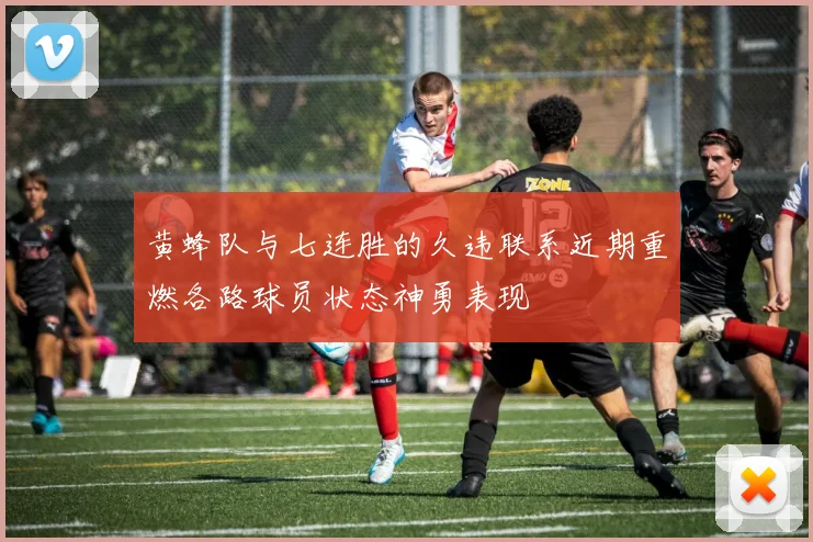 黄蜂队与七连胜的久违联系近期重燃各路球员状态神勇表现