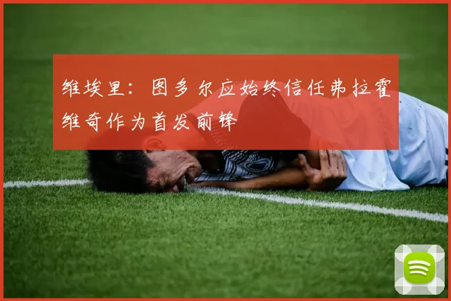 维埃里：图多尔应始终信任弗拉霍维奇作为首发前锋