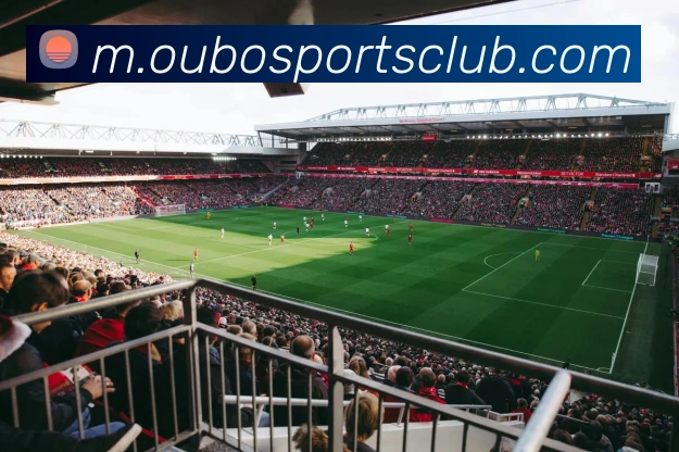 欧宝体育平台生态图