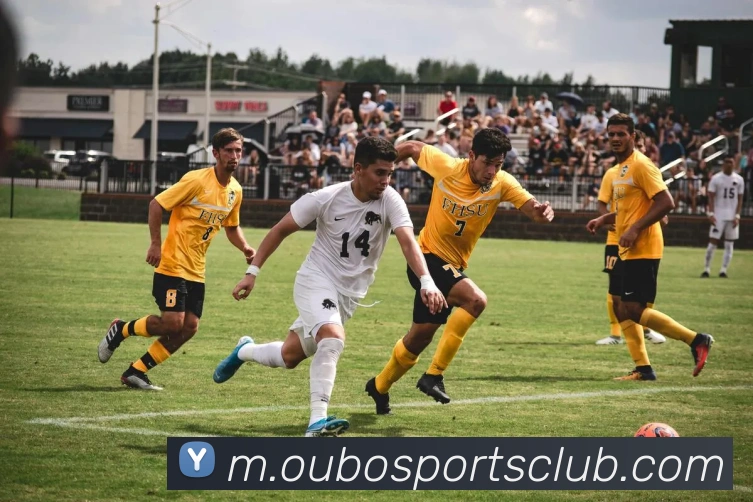 欧宝体育APP 封面图